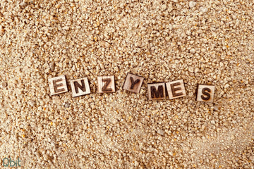 Enzymes