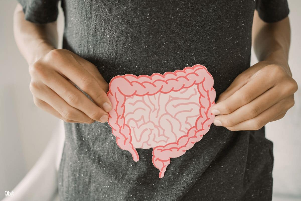 The Ultimate Guide to Healing Leaky Gut: Foods to Eat and Avoid