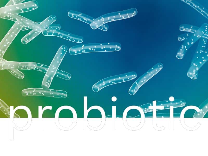 How Much Probiotics Per Day? The Ideal Dosage for Optimal Gut Health