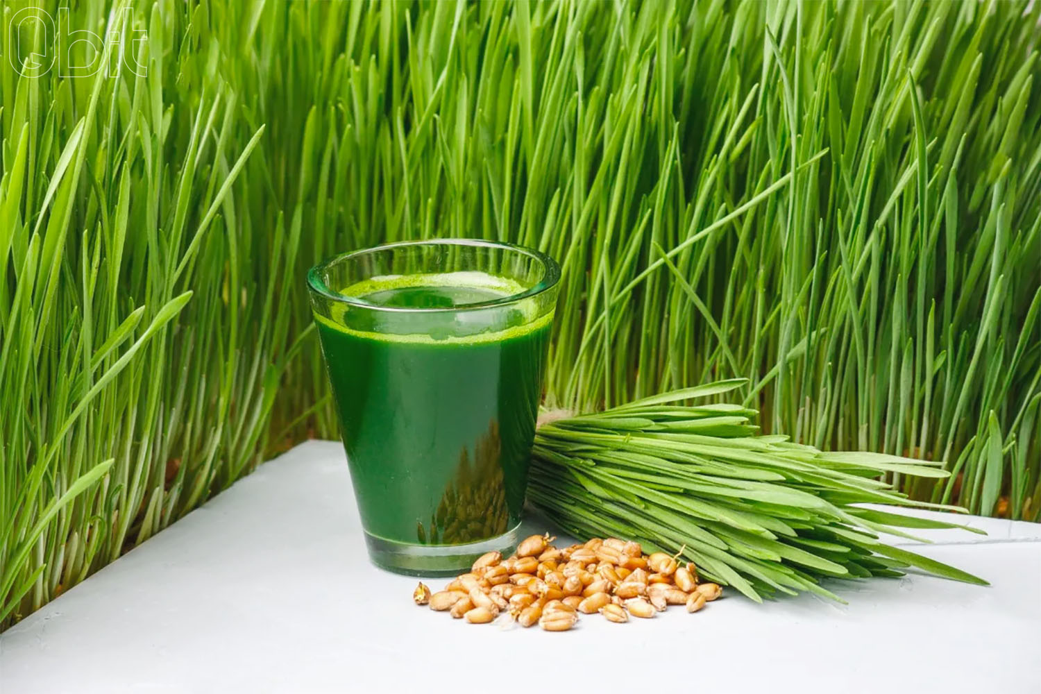 Underrated Benefits of Wheatgrass Powder